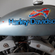 Illustration for article titled Why Your Motorcycle Subculture Sucks: Harley-Davidson Owners